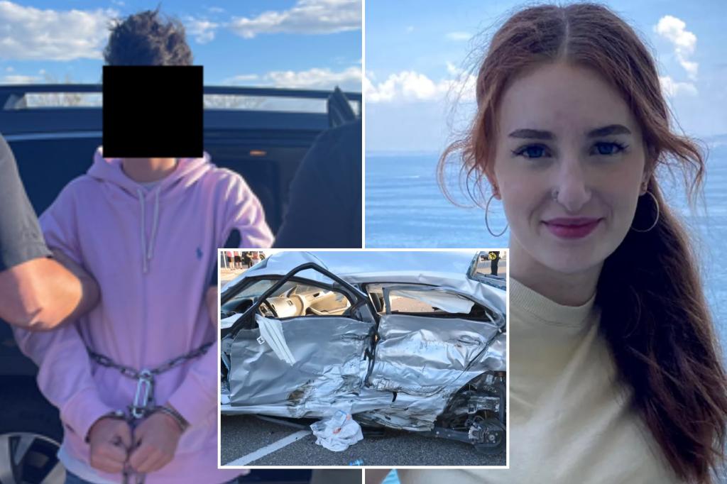 Columbia teen migrants arrested by ice on probation for killing columbia migrant colloeo woman Catilin Weaver, arrested by ice
