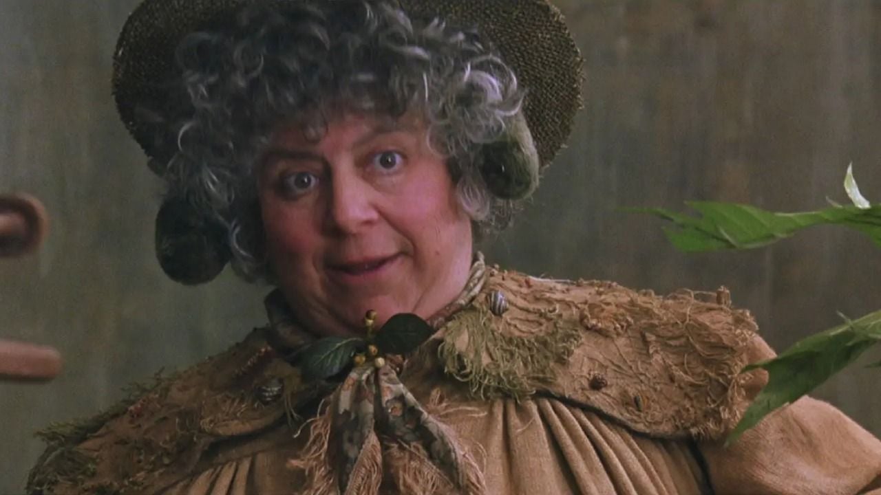 Miriam Margolyes in Harry Potter and the Chamber of Secrets.
