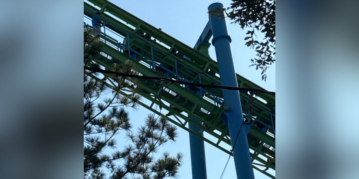 The parks stuck on the goore ride due to the power outage at South Georgia Theme Park, says the parents say